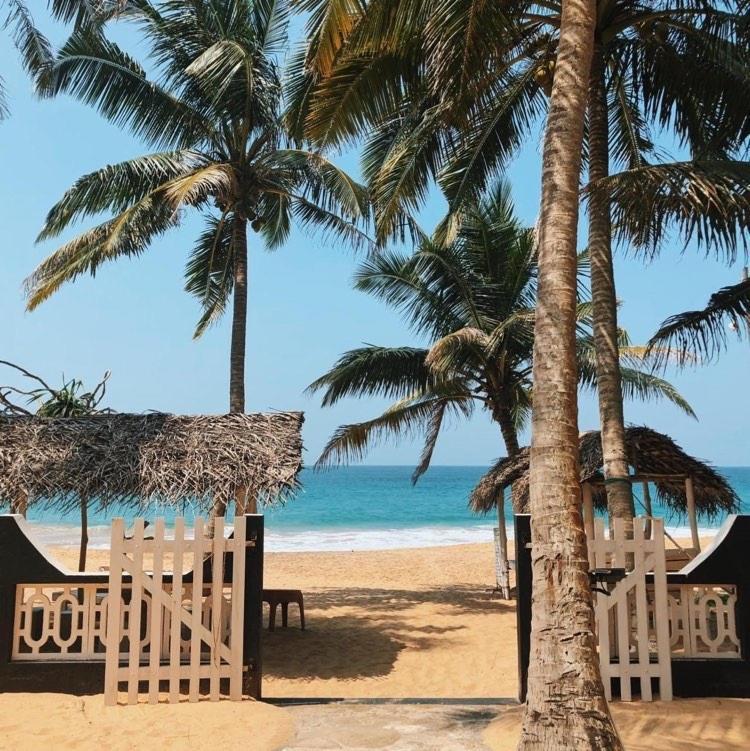 Jasmine Garden Beach Guest House Hikkaduwa Dış mekan fotoğraf